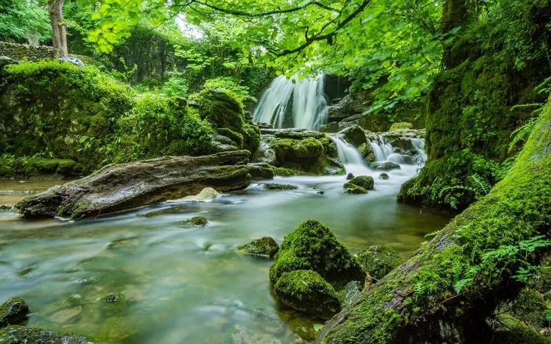 高标准高端